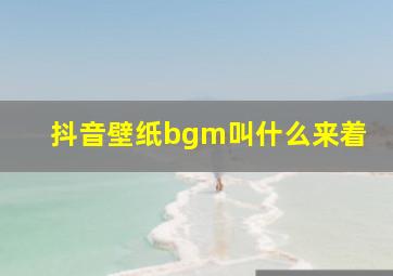 抖音壁纸bgm叫什么来着