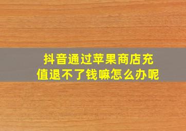 抖音通过苹果商店充值退不了钱嘛怎么办呢