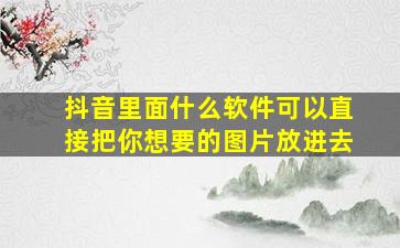 抖音里面什么软件可以直接把你想要的图片放进去