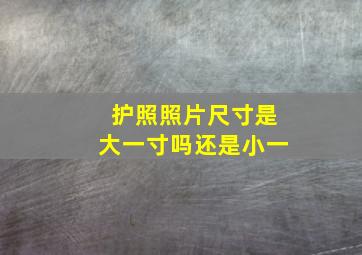 护照照片尺寸是大一寸吗还是小一