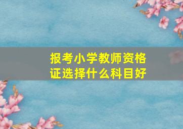 报考小学教师资格证选择什么科目好