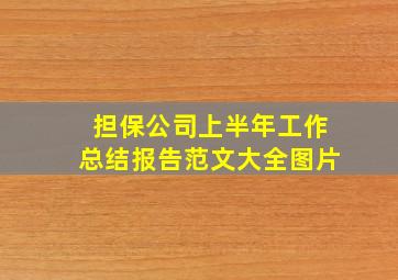 担保公司上半年工作总结报告范文大全图片