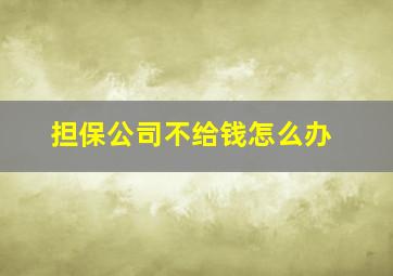 担保公司不给钱怎么办