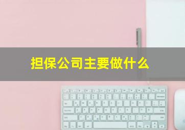 担保公司主要做什么