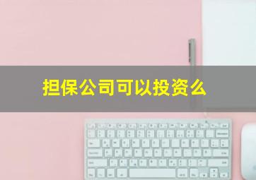 担保公司可以投资么