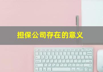 担保公司存在的意义