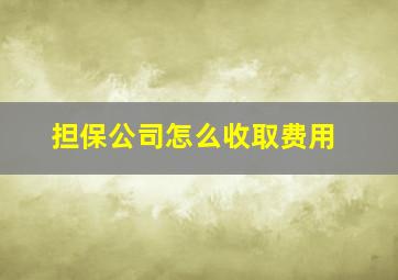 担保公司怎么收取费用