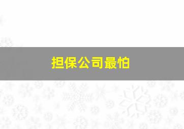 担保公司最怕