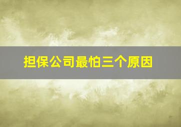 担保公司最怕三个原因