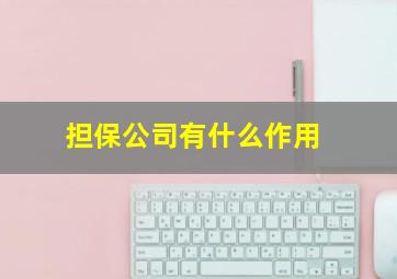 担保公司有什么作用