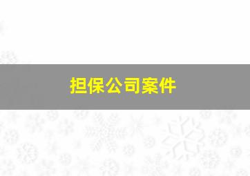 担保公司案件