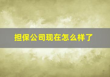 担保公司现在怎么样了