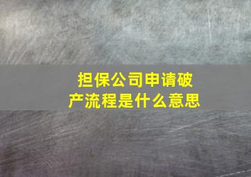 担保公司申请破产流程是什么意思