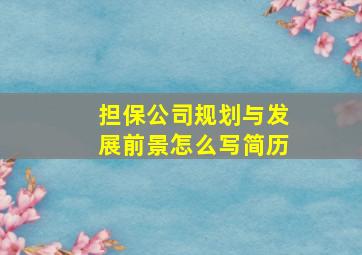 担保公司规划与发展前景怎么写简历