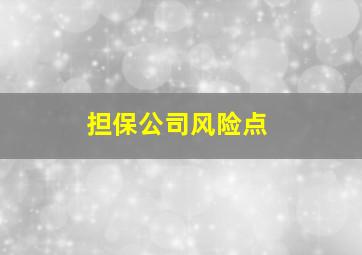 担保公司风险点