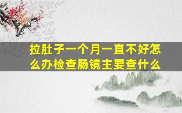 拉肚子一个月一直不好怎么办检查肠镜主要查什么