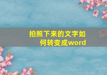 拍照下来的文字如何转变成word