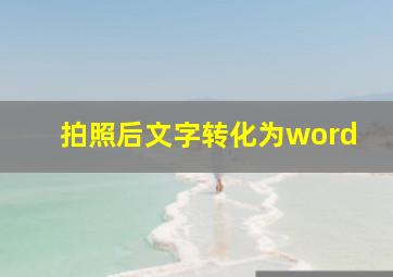 拍照后文字转化为word