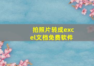 拍照片转成excel文档免费软件