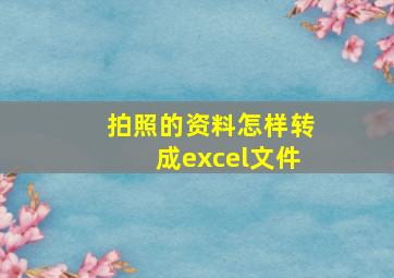 拍照的资料怎样转成excel文件