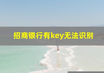 招商银行有key无法识别