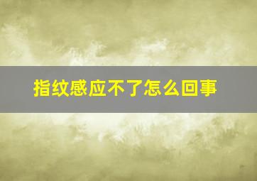 指纹感应不了怎么回事