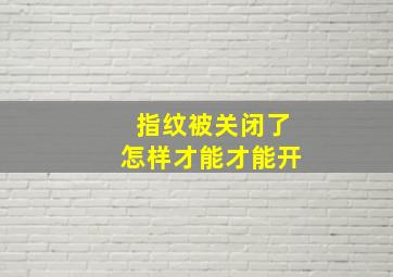 指纹被关闭了怎样才能才能开