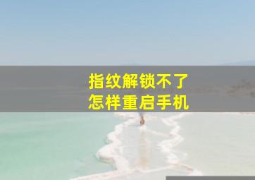 指纹解锁不了怎样重启手机