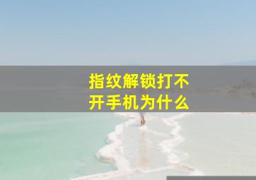 指纹解锁打不开手机为什么