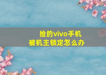 捡的vivo手机被机主锁定怎么办