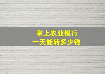 掌上农业银行一天能转多少钱