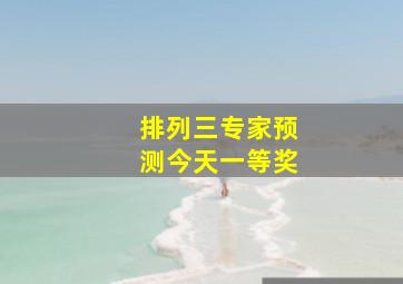 排列三专家预测今天一等奖