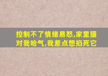 控制不了情绪易怒,家里猫对我哈气,我差点想掐死它