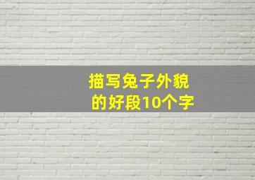 描写兔子外貌的好段10个字