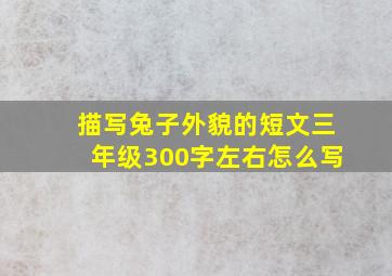 描写兔子外貌的短文三年级300字左右怎么写