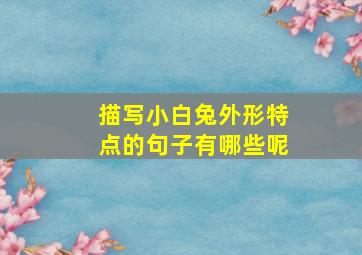 描写小白兔外形特点的句子有哪些呢