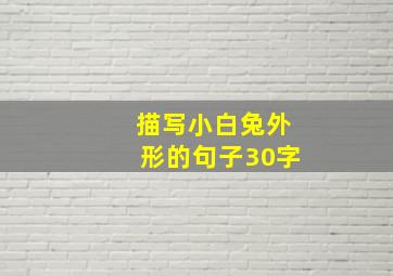 描写小白兔外形的句子30字