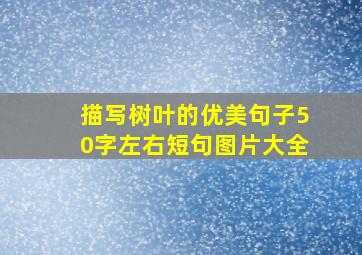 描写树叶的优美句子50字左右短句图片大全