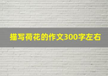 描写荷花的作文300字左右