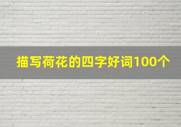 描写荷花的四字好词100个