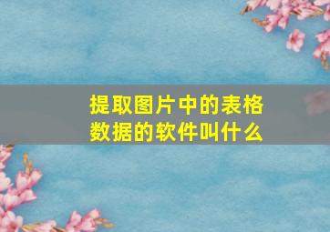 提取图片中的表格数据的软件叫什么