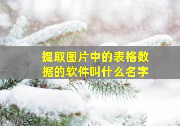 提取图片中的表格数据的软件叫什么名字