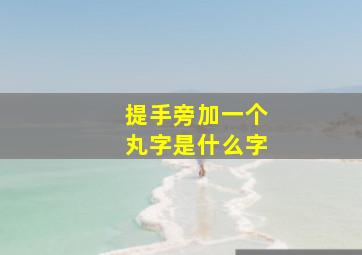 提手旁加一个丸字是什么字