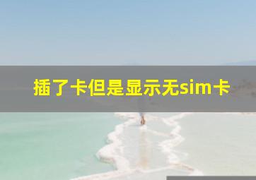 插了卡但是显示无sim卡