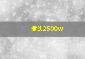 插头2500w