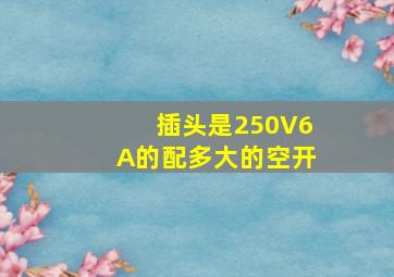 插头是250V6A的配多大的空开