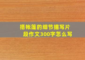 搭帐篷的细节描写片段作文300字怎么写