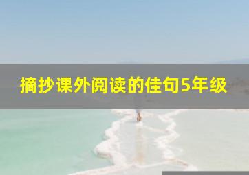 摘抄课外阅读的佳句5年级