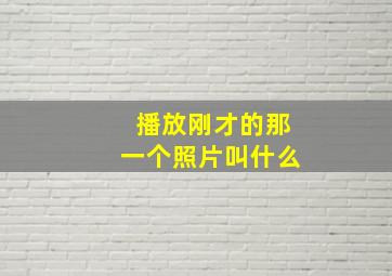 播放刚才的那一个照片叫什么