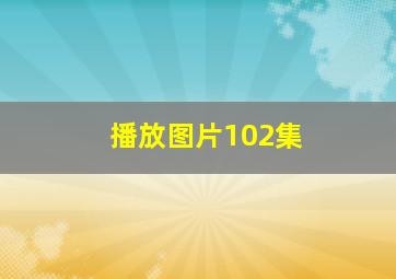 播放图片102集